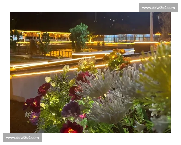 法斗滑板宽窄巷!成都萌宠又添新网红打卡地 法斗滑板宽窄巷!成都萌宠又添新网红打卡地