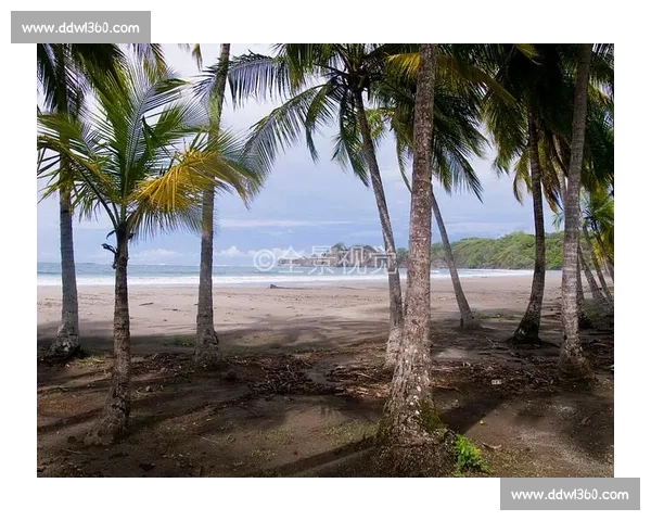 瑞士对阵哥斯达黎加赛前形势分析与胜负走势深度预测一览全景 瑞士对阵哥斯达黎加赛前形势分析与胜负走势深度预测一览全景